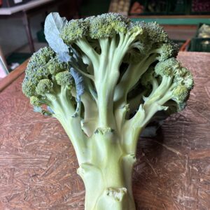 Brocoli