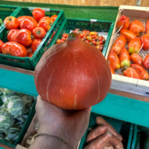Potimarron