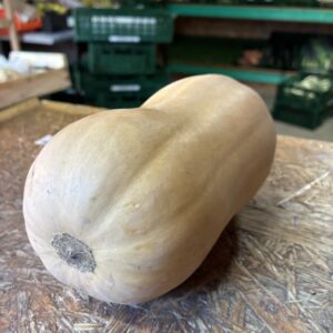 Butternut