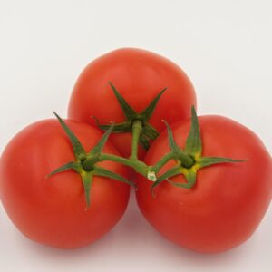 Tomates classiques +-1kg