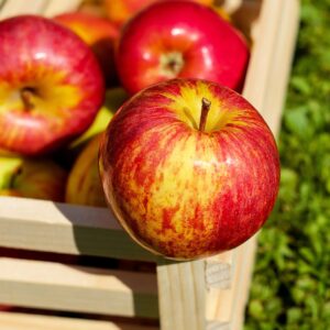Pomme +-500g