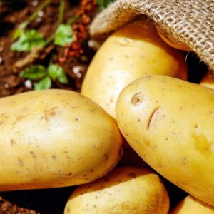 Pommes de terre fermes +-1kg