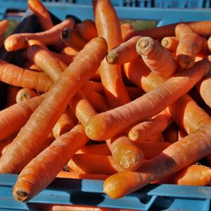 Carotte +- 1kg