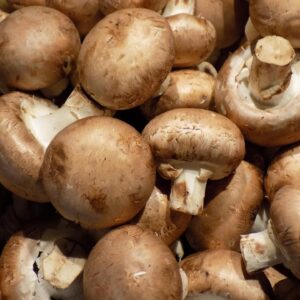 Champignons +- 250g