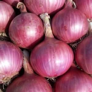 Oignons rouges +-500g